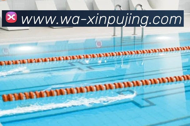 App Interface Preview